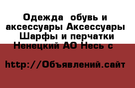 Одежда, обувь и аксессуары Аксессуары - Шарфы и перчатки. Ненецкий АО,Несь с.